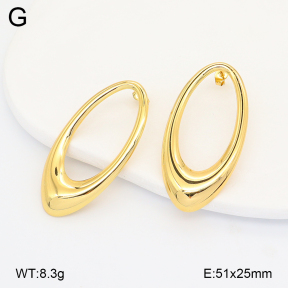 2E2007086aajl-434  Stainless Steel Earrings