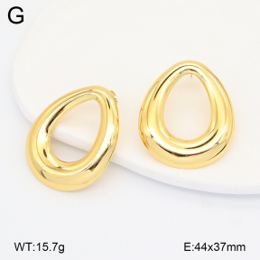 2E2007087aajl-434  Stainless Steel Earrings