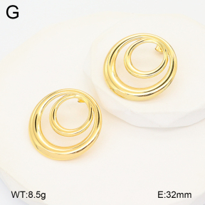 2E2007088aajl-434  Stainless Steel Earrings