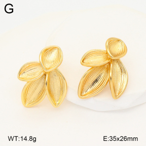 2E2007091vbmb-434  Stainless Steel Earrings