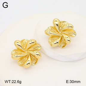 2E2007092vbmb-434  Stainless Steel Earrings