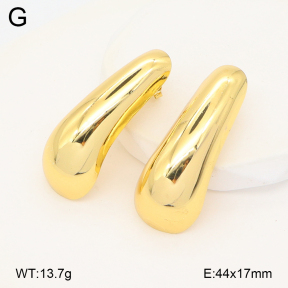 2E2007093aajl-434  Stainless Steel Earrings