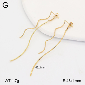 2E2007094vbmb-434  Stainless Steel Earrings
