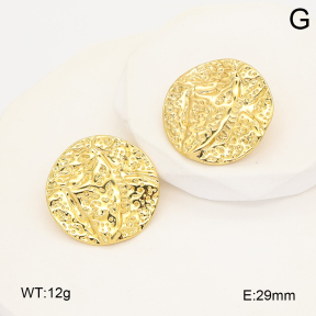 2E2007098ablb-212  Stainless Steel Earrings