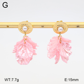2E3004103vbmb-434  Stainless Steel Earrings