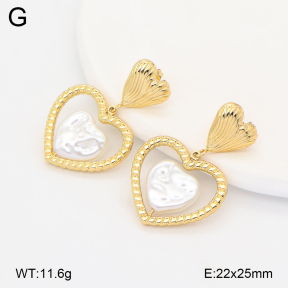 2E3004104vbll-434  Stainless Steel Earrings