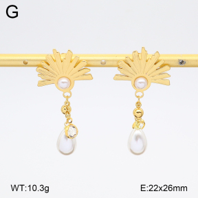 2E3004105vbll-434  Stainless Steel Earrings