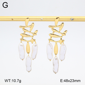 2E3004106vbmb-434  Stainless Steel Earrings