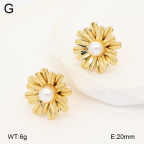 2E3004107vbmb-434  Stainless Steel Earrings