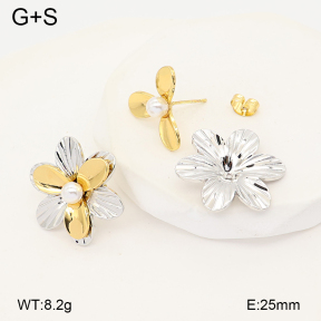 2E3004108vbmb-434  Stainless Steel Earrings