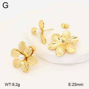 2E3004109vbmb-434  Stainless Steel Earrings