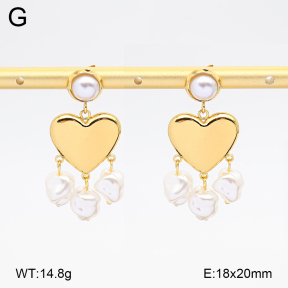 2E3004110bbml-434  Stainless Steel Earrings