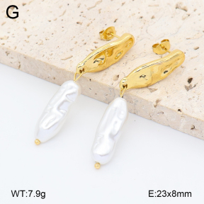 2E3004111vbll-434  Stainless Steel Earrings