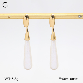 2E3004112bbml-434  Stainless Steel Earrings
