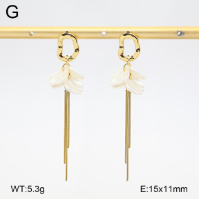 2E3004113bbml-434  Stainless Steel Earrings