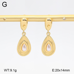 2E3004114vbll-434  Stainless Steel Earrings