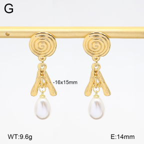 2E3004115vbmb-434  Stainless Steel Earrings