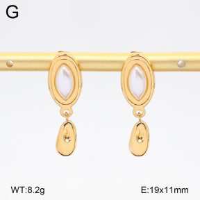 2E3004116vbll-434  Stainless Steel Earrings