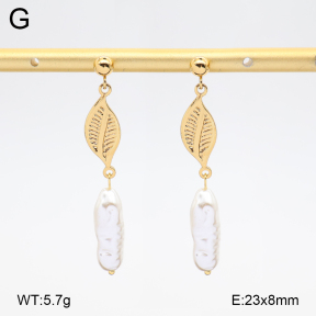 2E3004117vbll-434  Stainless Steel Earrings