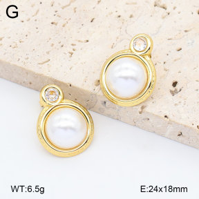 2E3004118ablb-434  Stainless Steel Earrings