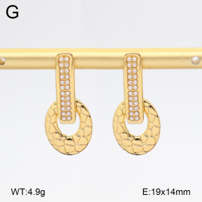 2E3004119vbmb-434  Stainless Steel Earrings