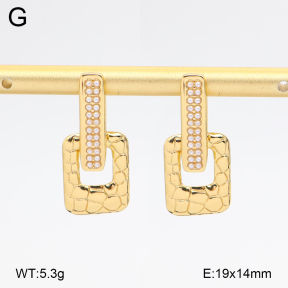 2E3004120vbmb-434  Stainless Steel Earrings