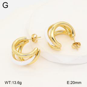 2E3004121bbml-434  Stainless Steel Earrings