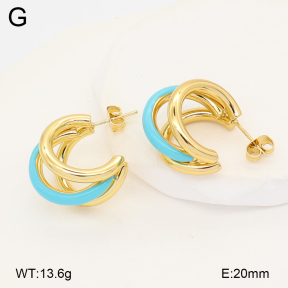 2E3004123bbml-434  Stainless Steel Earrings