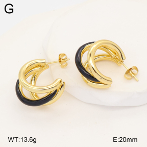 2E3004124bbml-434  Stainless Steel Earrings