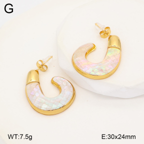 2E3004125bhva-434  Stainless Steel Earrings