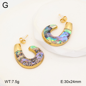 2E3004126bhva-434  Stainless Steel Earrings