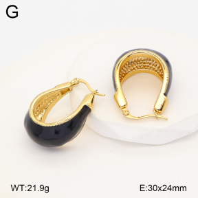2E3004127vbnl-434  Stainless Steel Earrings