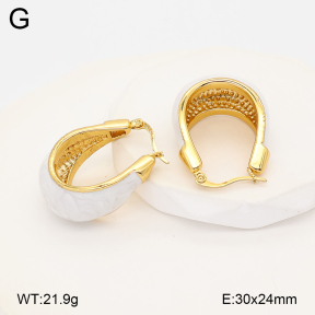 2E3004128vbnl-434  Stainless Steel Earrings