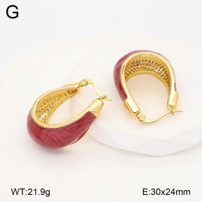 2E3004129vbnl-434  Stainless Steel Earrings
