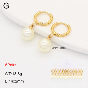2E3004131ajvb-212  Stainless Steel Earrings