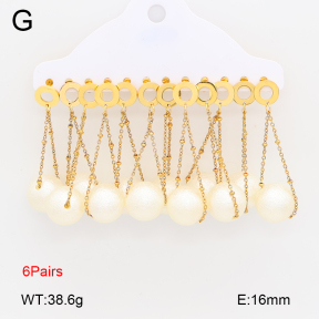 2E3004132ajvb-212  Stainless Steel Earrings
