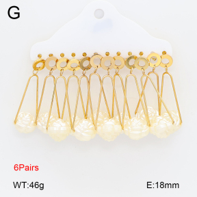2E3004133bika-212  Stainless Steel Earrings