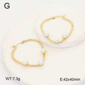 2E3004135ablb-212  Stainless Steel Earrings