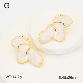 2E3004136bbov-212  Stainless Steel Earrings