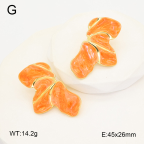 2E3004137bbov-212  Stainless Steel Earrings
