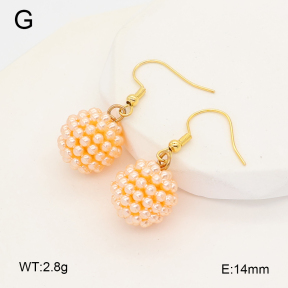 2E3004138baka-212  Stainless Steel Earrings