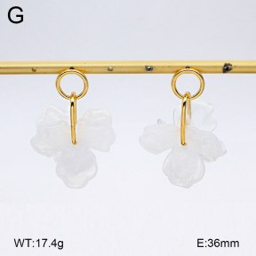 2E4005147bbml-434  Stainless Steel Earrings