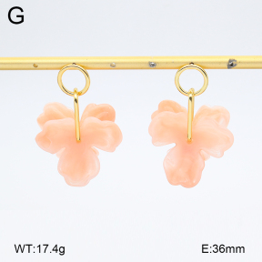 2E4005148bbml-434  Stainless Steel Earrings