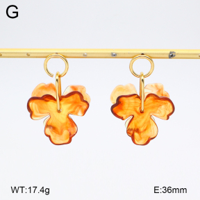 2E4005149bbml-434  Stainless Steel Earrings