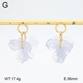 2E4005150bbml-434  Stainless Steel Earrings