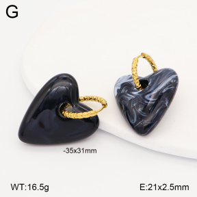 2E4005151vbll-434  Stainless Steel Earrings