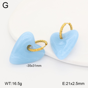 2E4005152vbll-434  Stainless Steel Earrings
