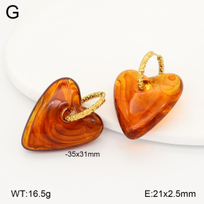 2E4005153vbll-434  Stainless Steel Earrings