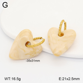 2E4005154vbll-434  Stainless Steel Earrings