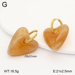 2E4005155vbll-434  Stainless Steel Earrings